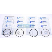 Segmentos 1275 - 030