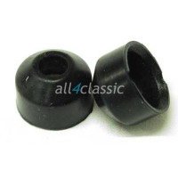 Vedante da Guia da Válvulas