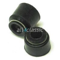 Vedante da Guia da Válvulas