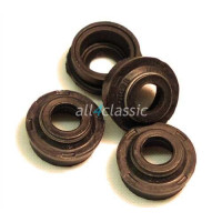 Vedante da Guia da Válvulas