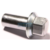 Fêmea para Minilite Original