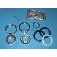 Kit Rolamentos da Frente Disco