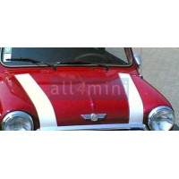 Faixas do Capot - Prata