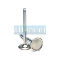 Valvula Escape RIMFLOW 31 mm - 1 Rasgo